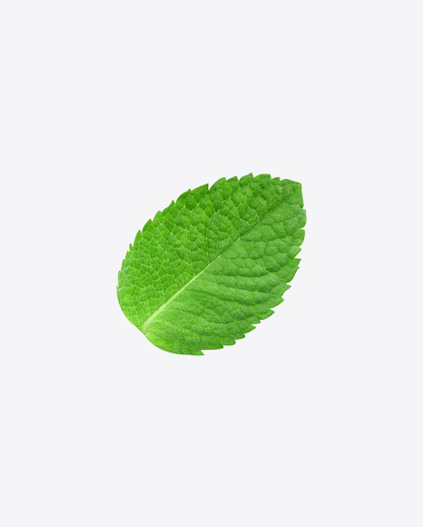 Mint Leaf