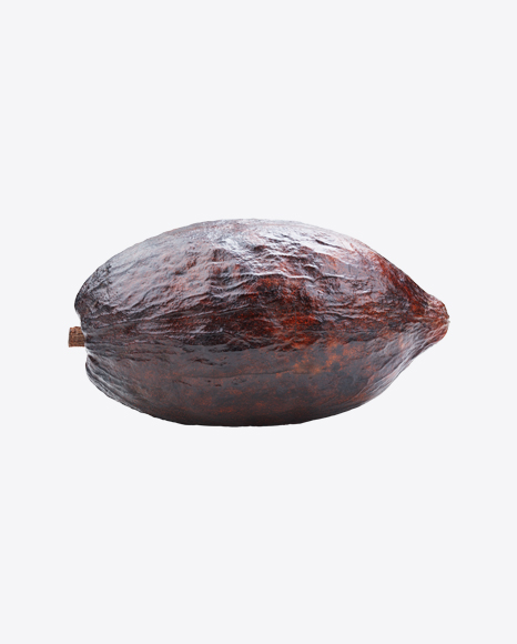 Cocoa Fruit