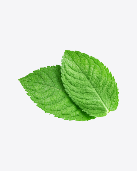 Mint Leaves