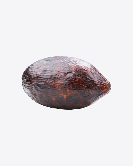 Cocoa Fruit