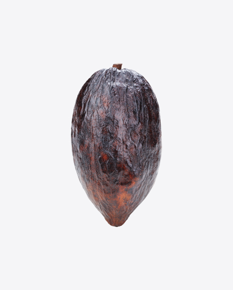 Cocoa Fruit