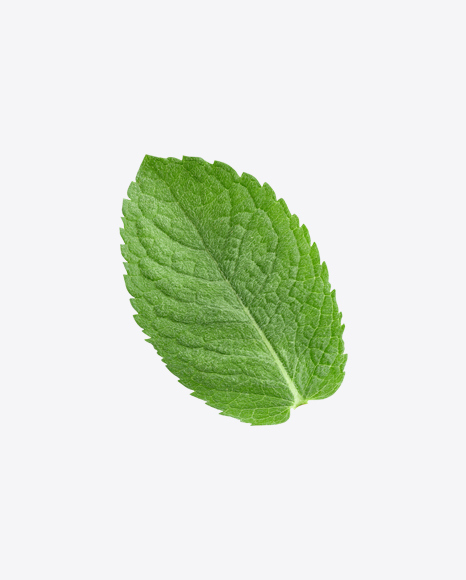Mint Leaf