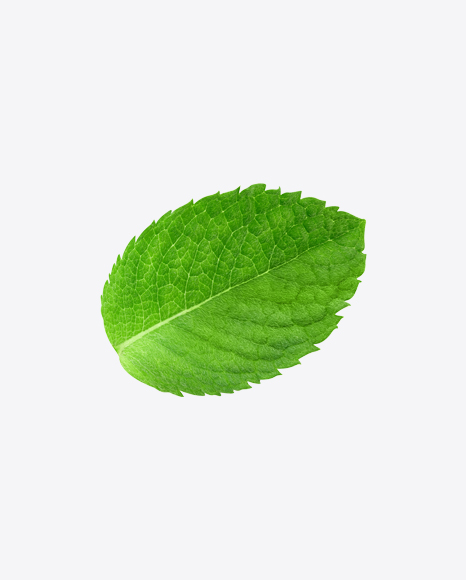 Mint Leaf