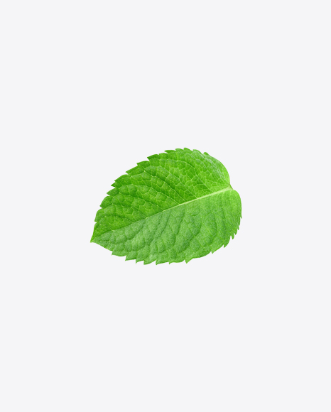 Mint Leaf