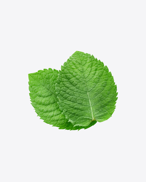 Mint Leaves