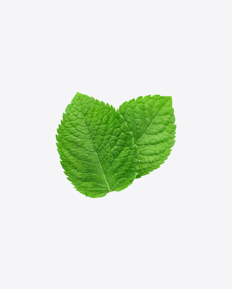 Mint Leaves