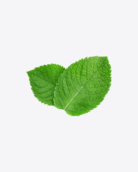 Mint Leaves