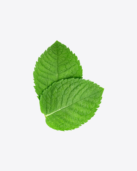 Mint Leaves