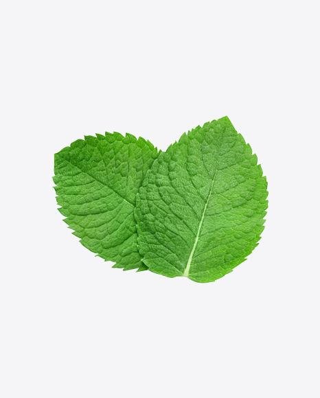 Mint Leaves