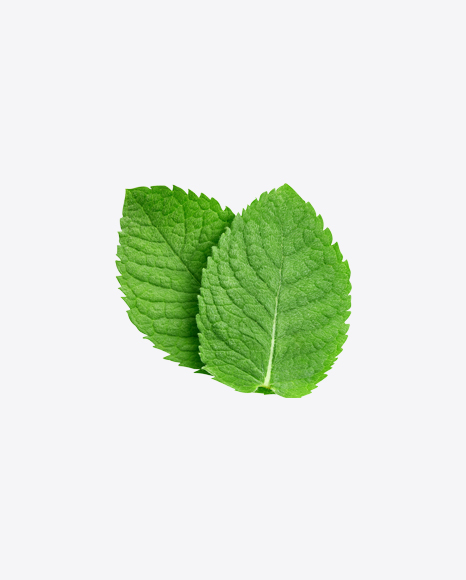 Mint Leaves