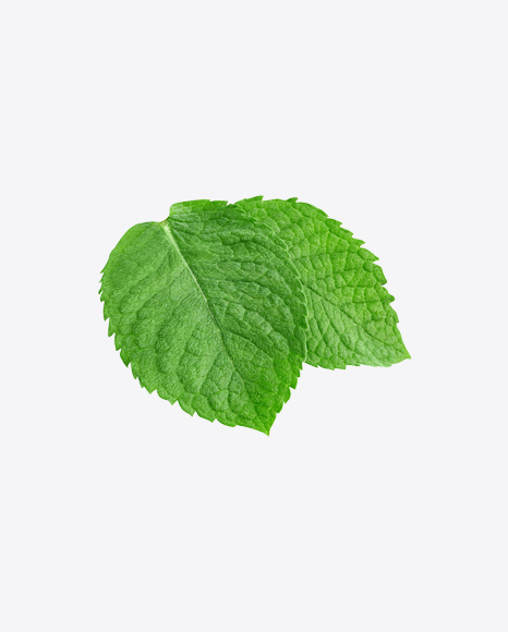 Mint Leaves
