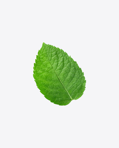 Mint Leaf