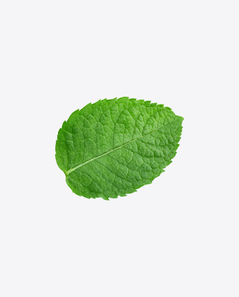 Mint Leaves
