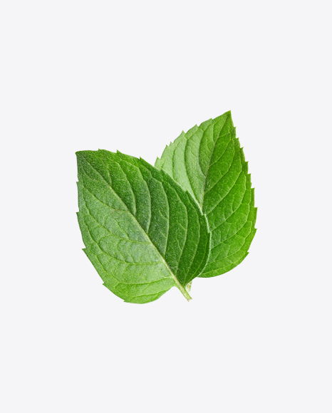 Mint Leaves