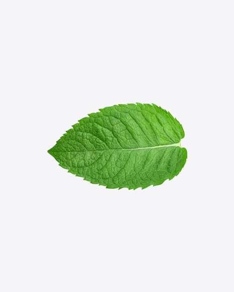 Mint Leaf