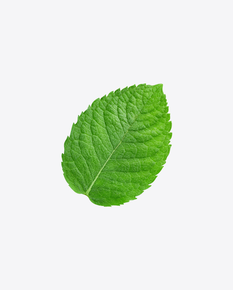 Mint Leaves