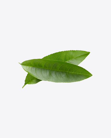 Green Leaves