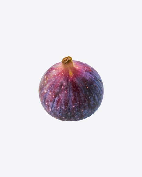 Fig Fruit