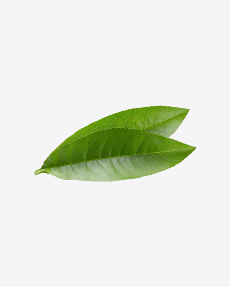 Green Leaves
