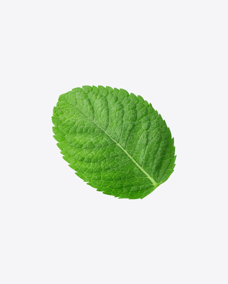 Mint Leaves
