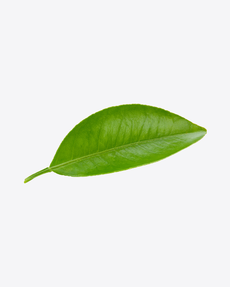 Green Leaf