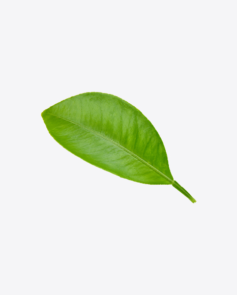 Green Leaf