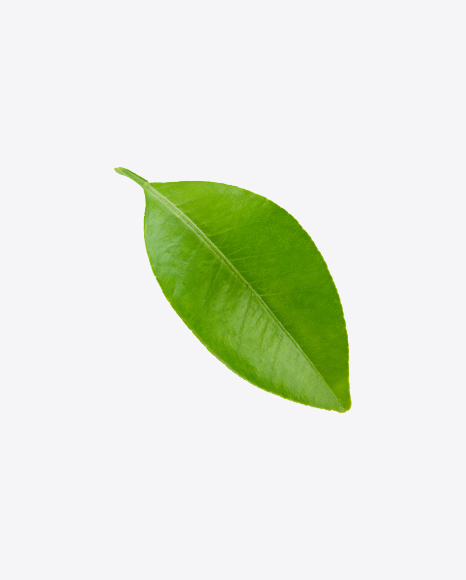 Green Leaf