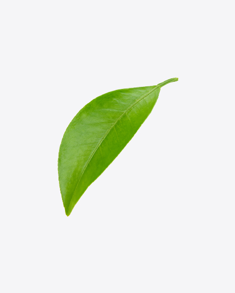 Green Leaf