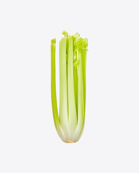 Celery PNG