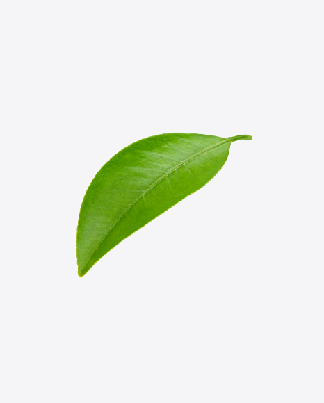 Green Leaf