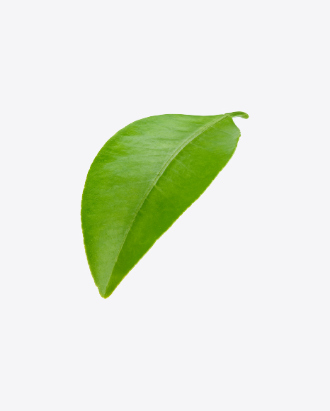 Green Leaf