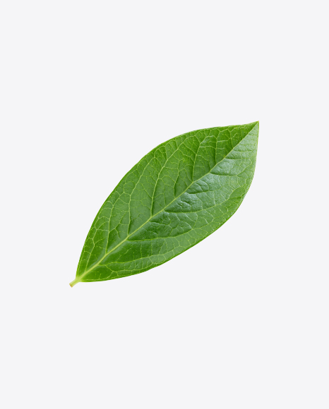 Green Leaf