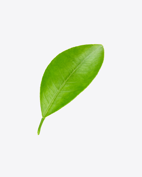 Green Leaf