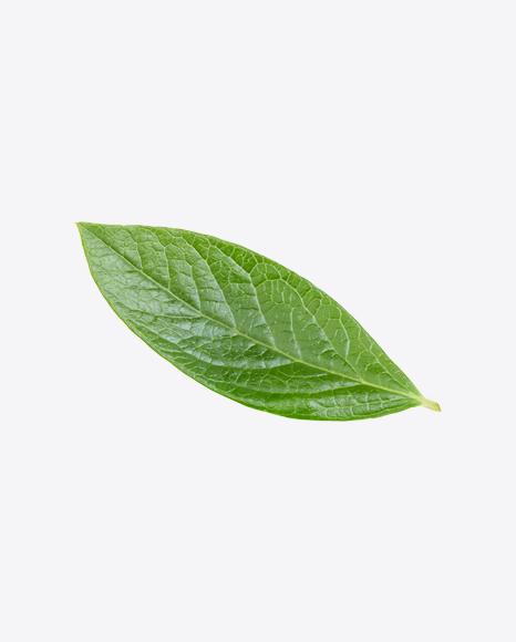 Green Leaf