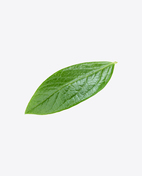 Green Leaf