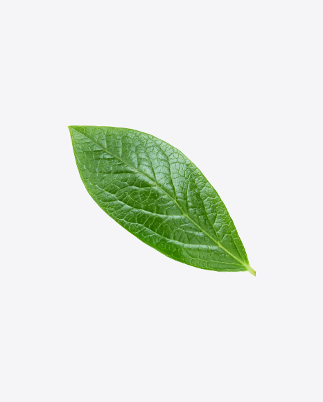 Green Leaf