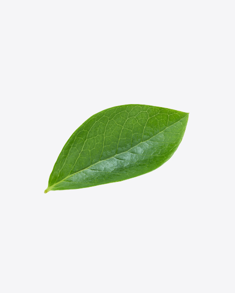 Green Leaf
