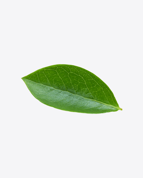 Green Leaf