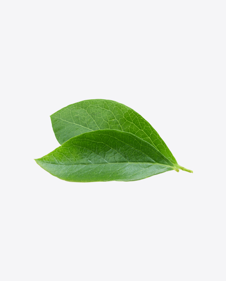 Green Leaves