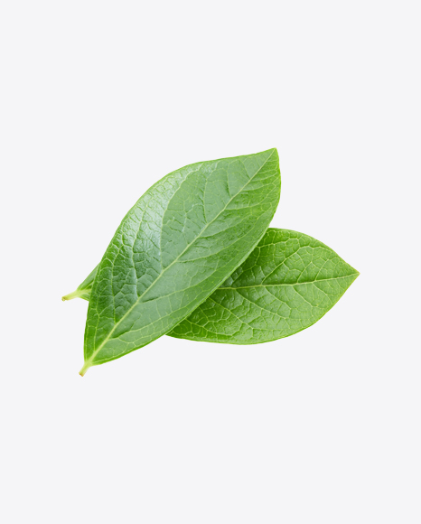 Green Leaf