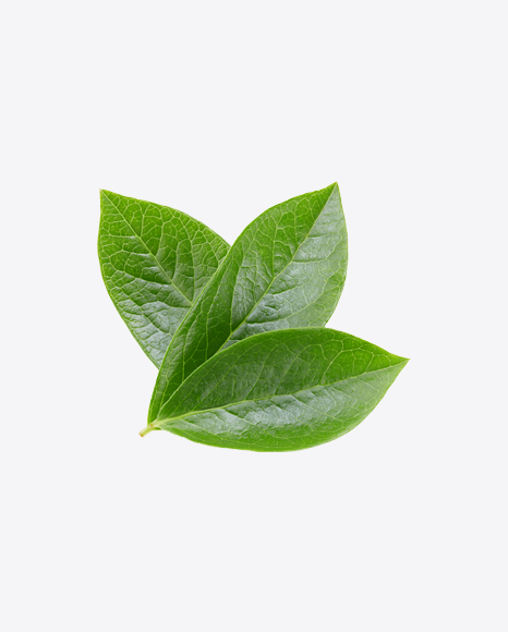 Green Leaves