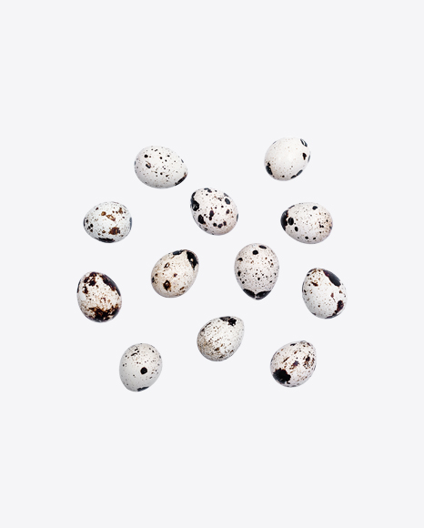 Quail Eggs