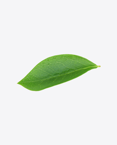 Green Leaf
