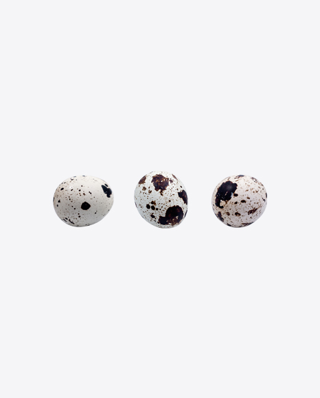 Quail Eggs