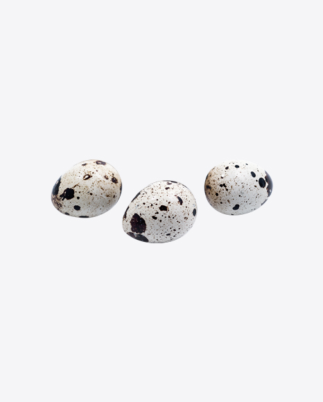 Quail Eggs