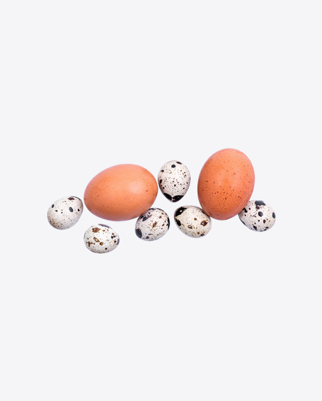 Chicken & Quail Eggs Set