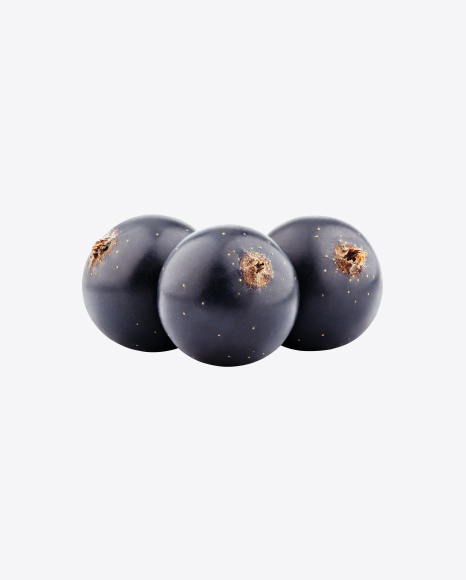 Black Currant Set PNG