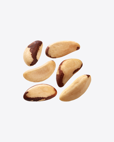 Brazil Nuts Set PNG