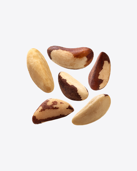 Brazil Nuts Set PNG