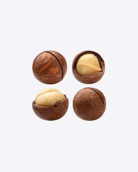 Macadamia Nuts Set PNG